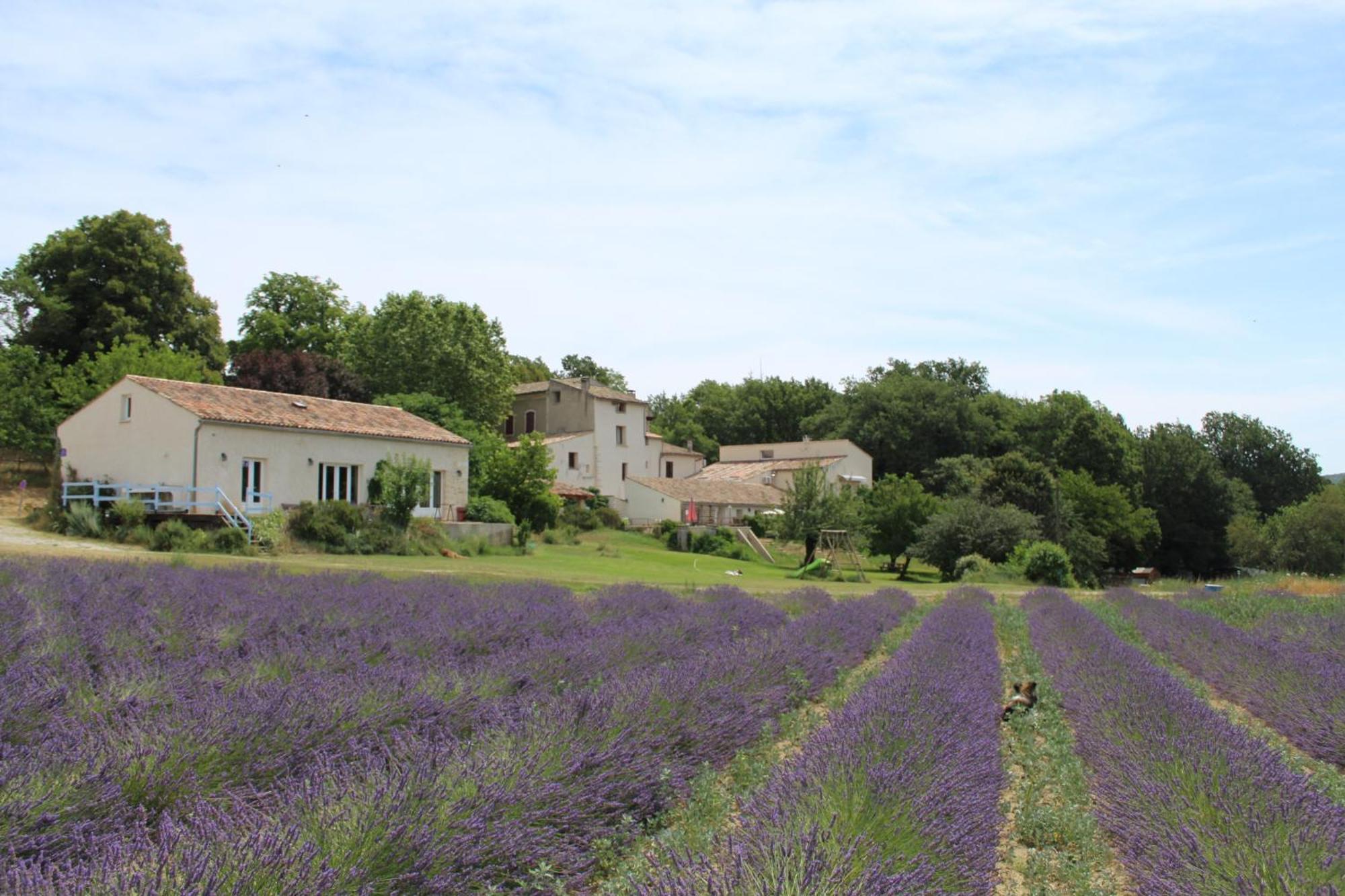 Les Anes De Forcalquier Hotel Exterior photo