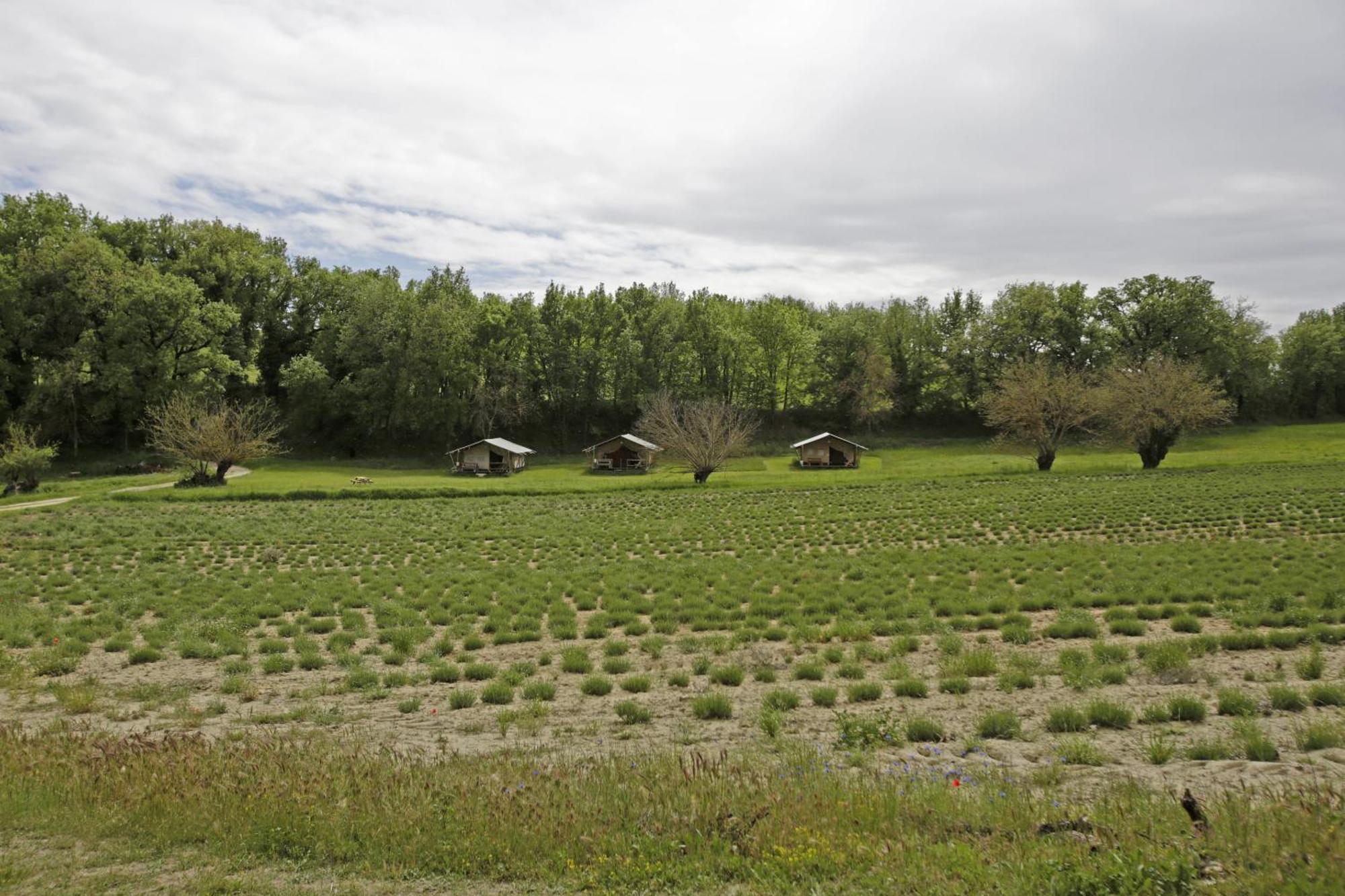 Les Anes De Forcalquier Hotel Exterior photo