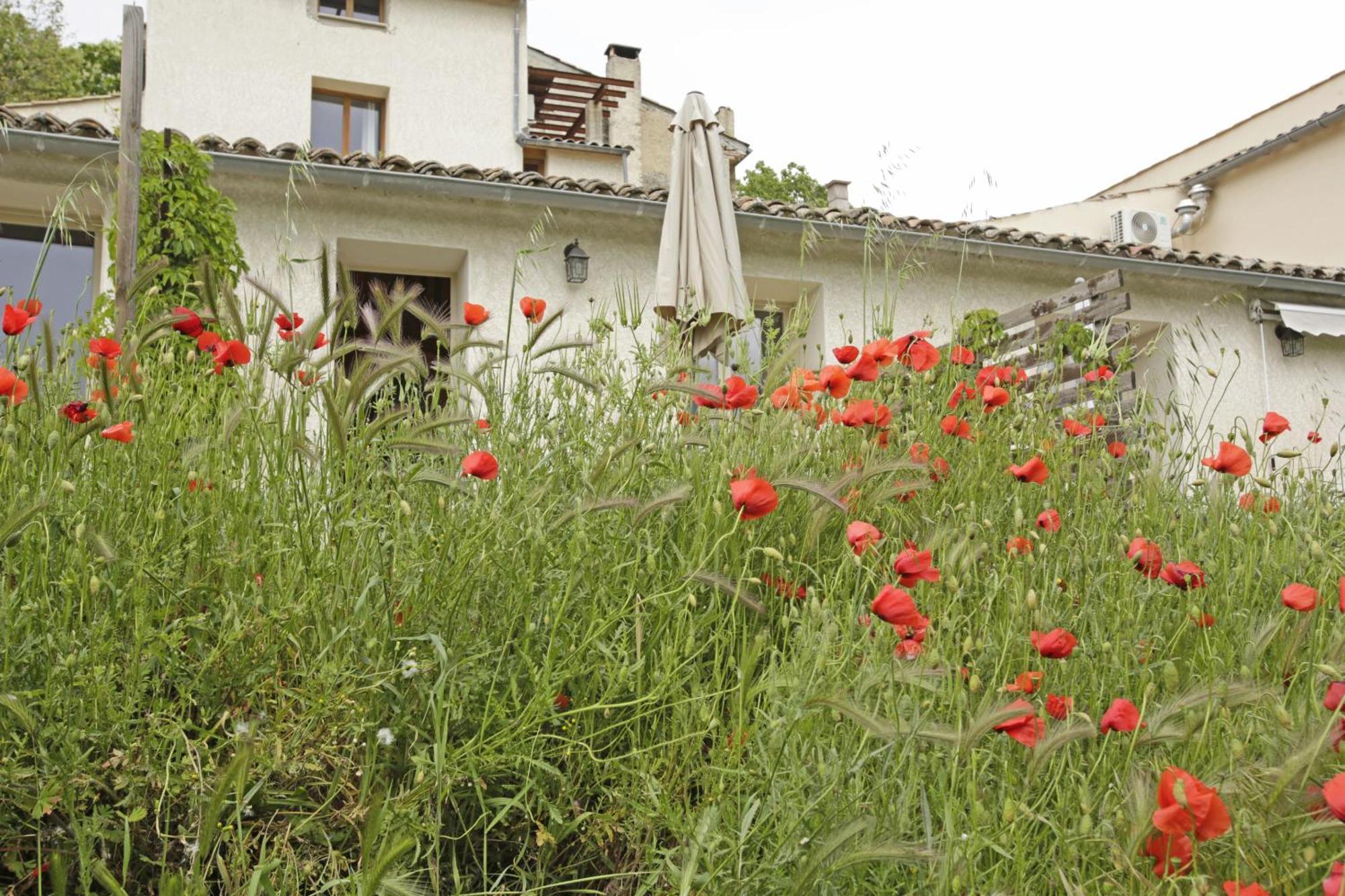 Les Anes De Forcalquier Hotel Room photo